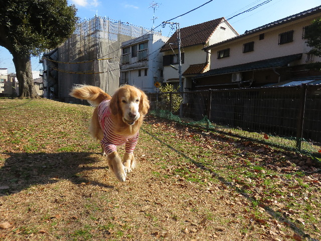 ファイル 4731-2.jpg