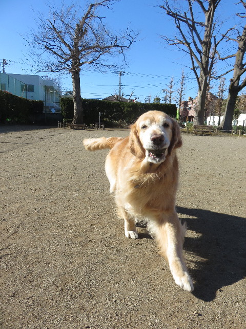 ファイル 4733-2.jpg