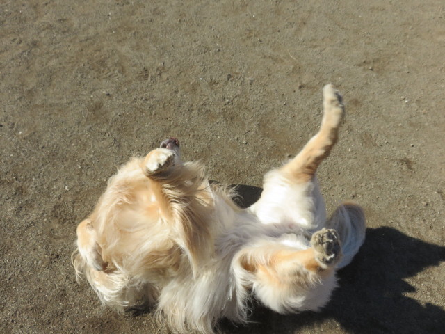 ファイル 4733-3.jpg