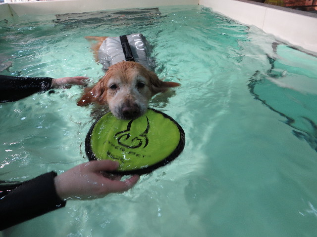 ファイル 4734-4.jpg