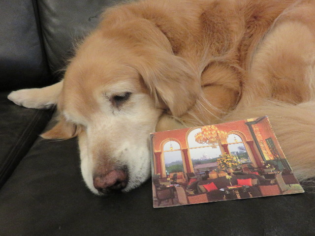 ファイル 4735-1.jpg