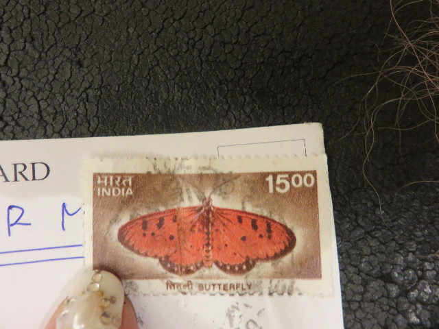 ファイル 4735-2.jpg