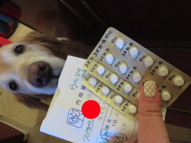 ファイル 4735-4.jpg