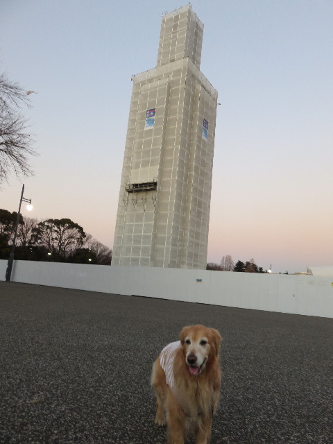 ファイル 4735-5.jpg