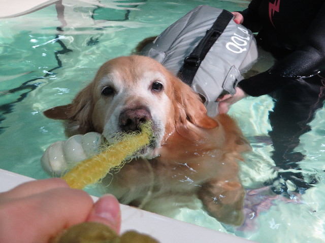 ファイル 4737-2.jpg