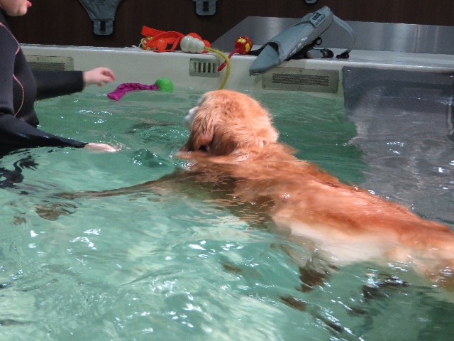 ファイル 4737-3.jpg