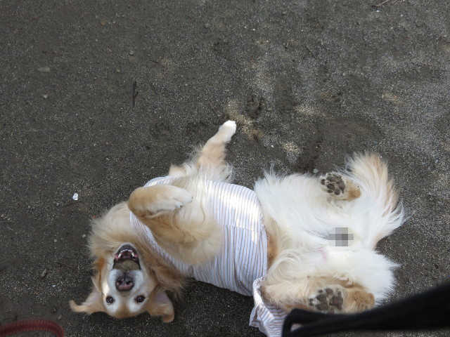 ファイル 4739-2.jpg