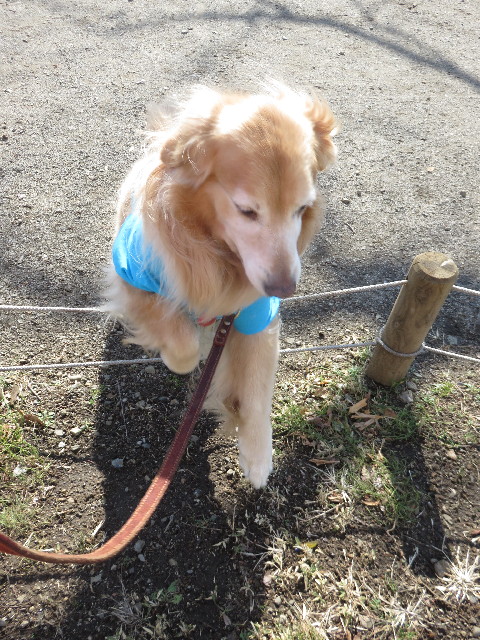 ファイル 4740-3.jpg