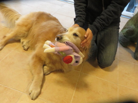 ファイル 4740-4.jpg