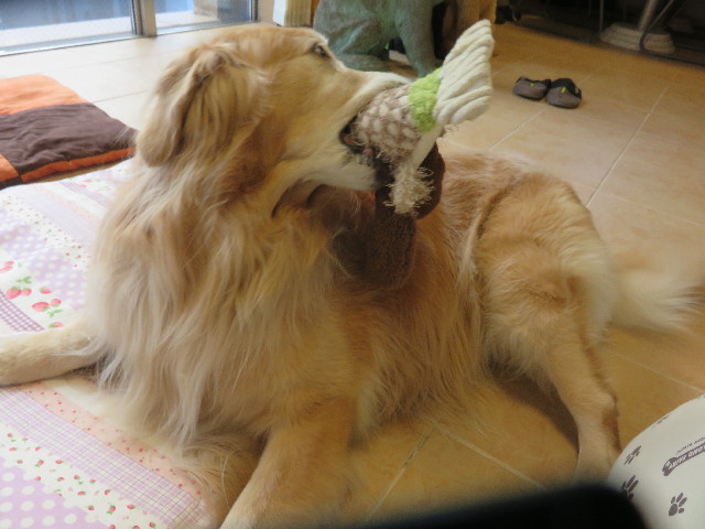 ファイル 4741-3.jpg