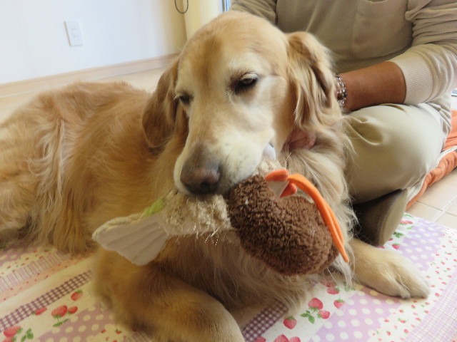 ファイル 4741-4.jpg