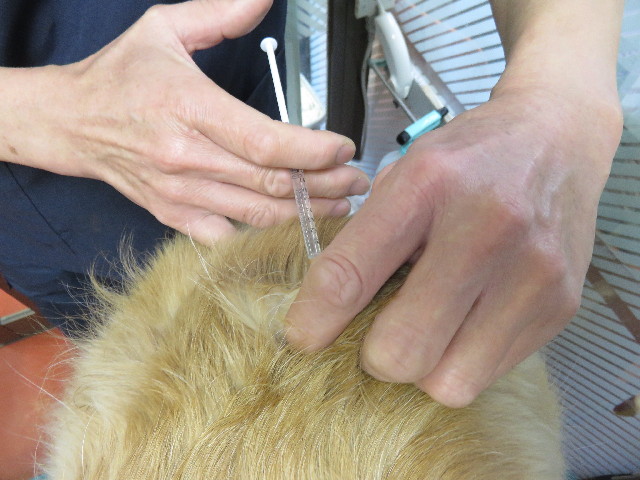 ファイル 4742-2.jpg