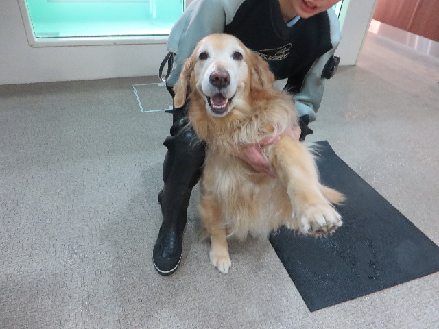 ファイル 4744-1.jpg