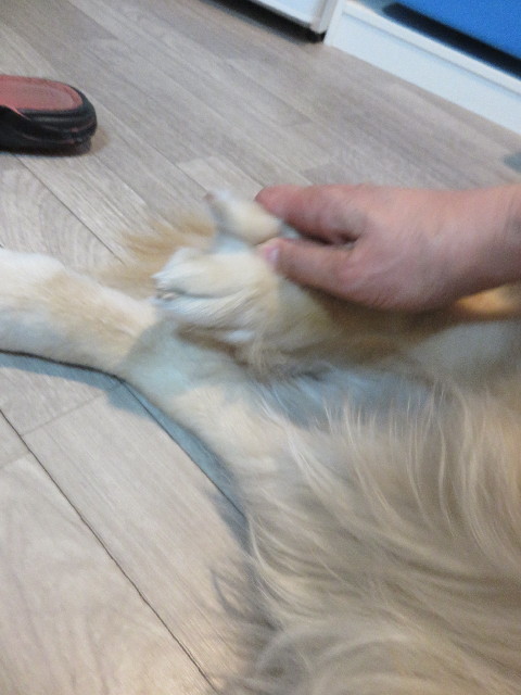 ファイル 4746-3.jpg