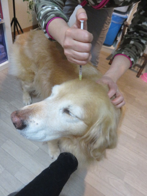 ファイル 4746-5.jpg