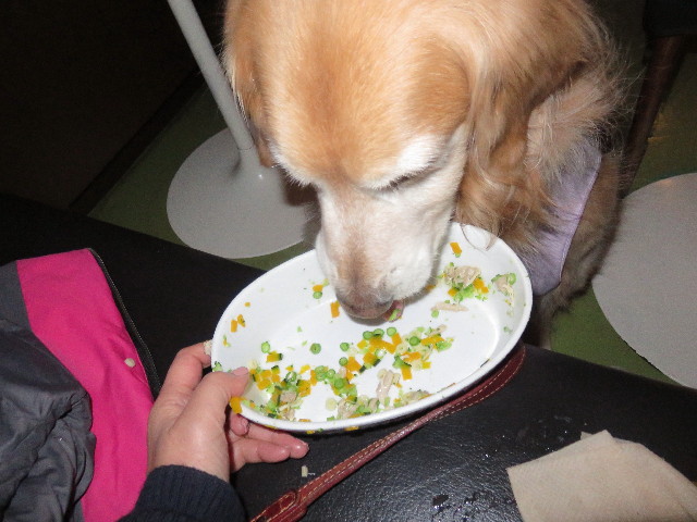 ファイル 4747-1.jpg