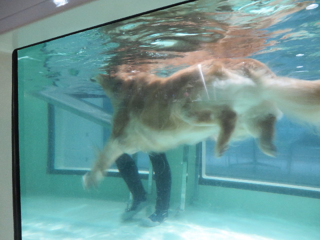 ファイル 4748-2.jpg