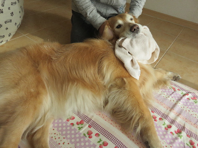 ファイル 4749-4.jpg