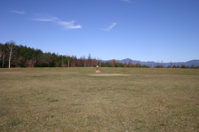 ファイル 475-3.jpg