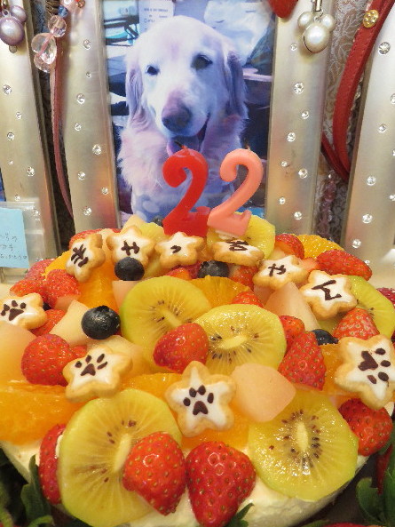 ファイル 4751-1.jpg