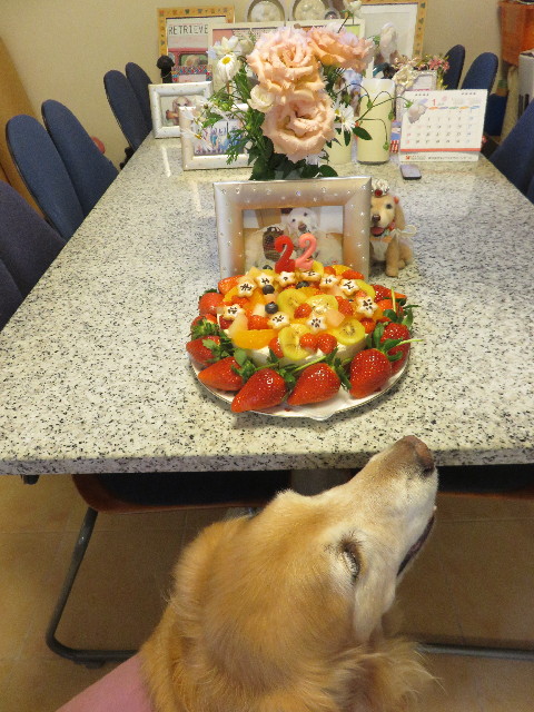 ファイル 4751-3.jpg