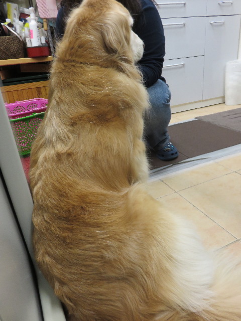 ファイル 4754-3.jpg