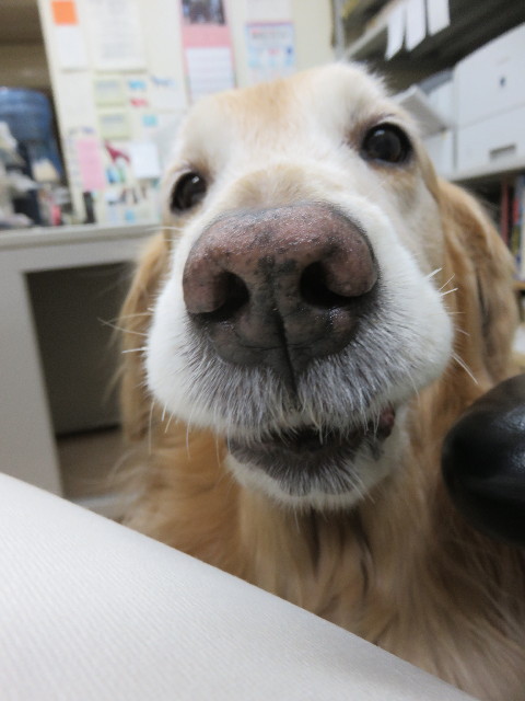 ファイル 4754-4.jpg