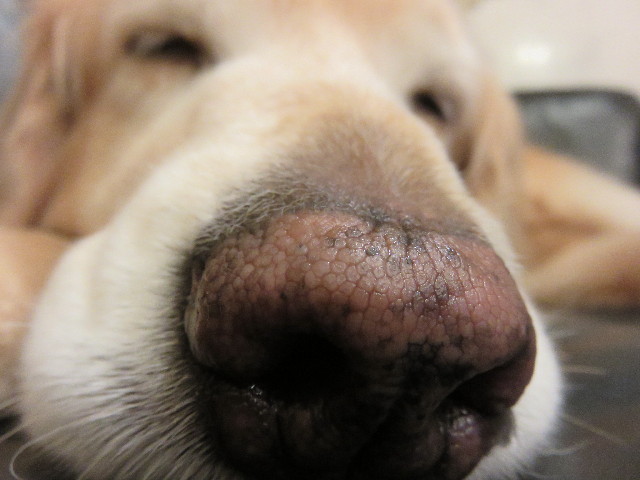 ファイル 4755-2.jpg