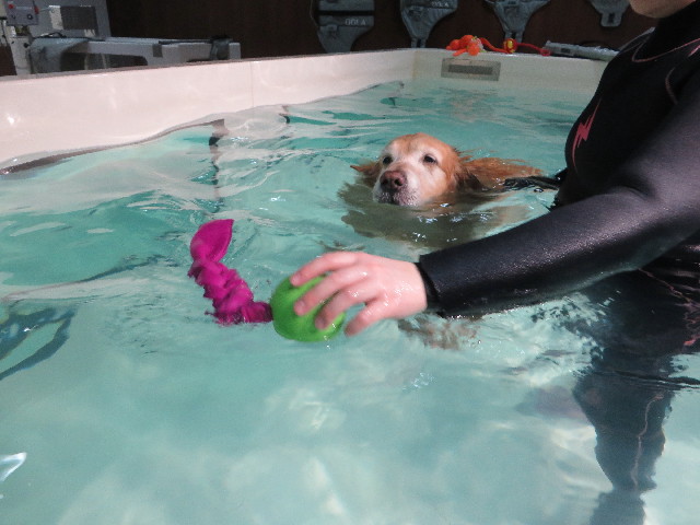 ファイル 4756-3.jpg