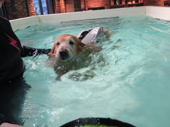 ファイル 4756-5.jpg