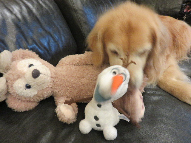 ファイル 4761-1.jpg