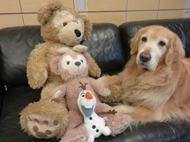 ファイル 4761-2.jpg