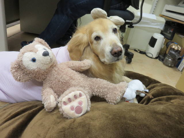 ファイル 4761-5.jpg