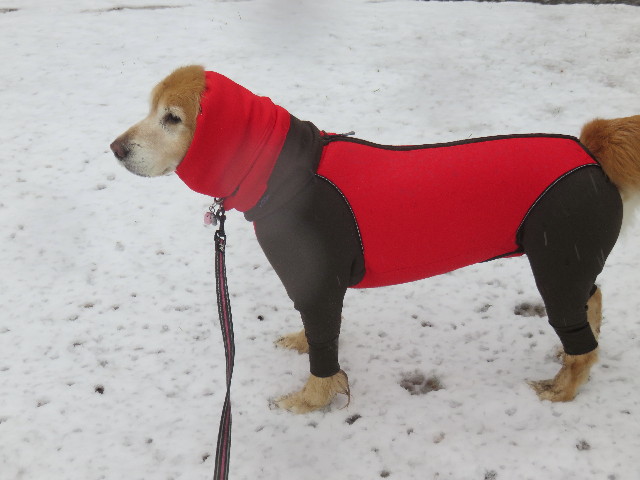 ファイル 4763-4.jpg