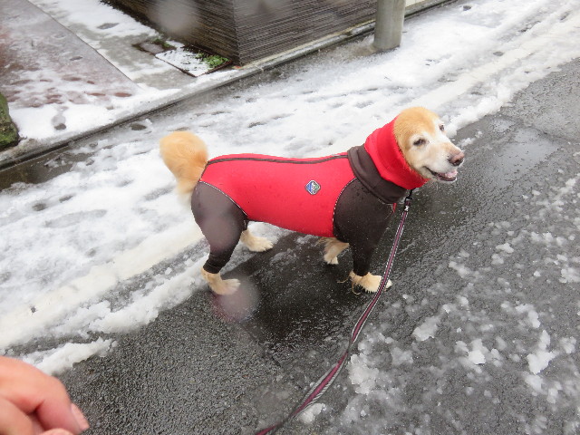 ファイル 4763-5.jpg