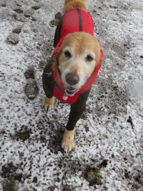 ファイル 4764-4.jpg