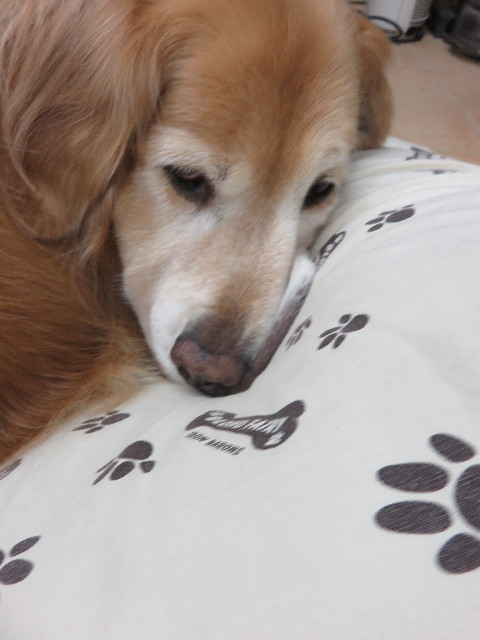 ファイル 4766-3.jpg