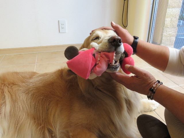 ファイル 4766-5.jpg