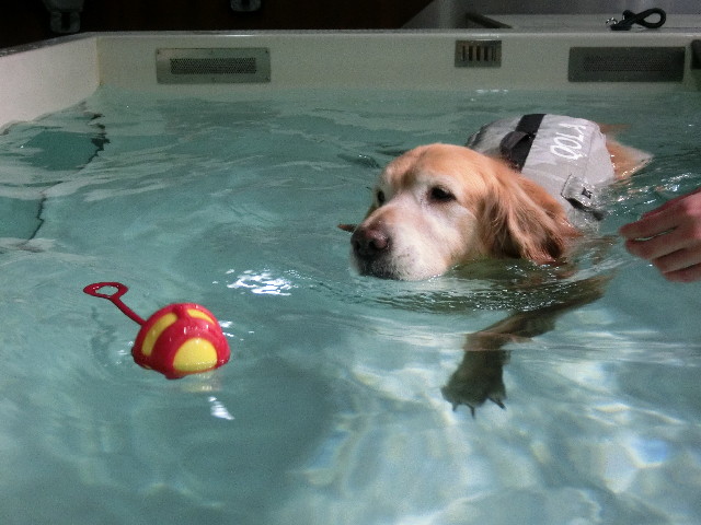 ファイル 4767-3.jpg