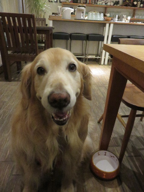 ファイル 4768-1.jpg