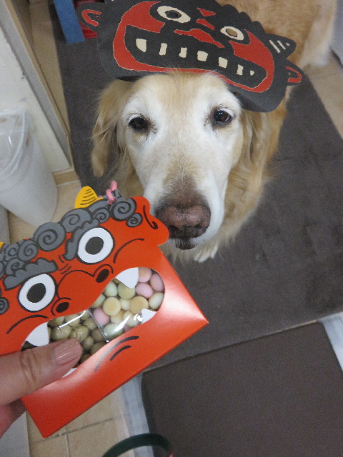 ファイル 4769-1.jpg