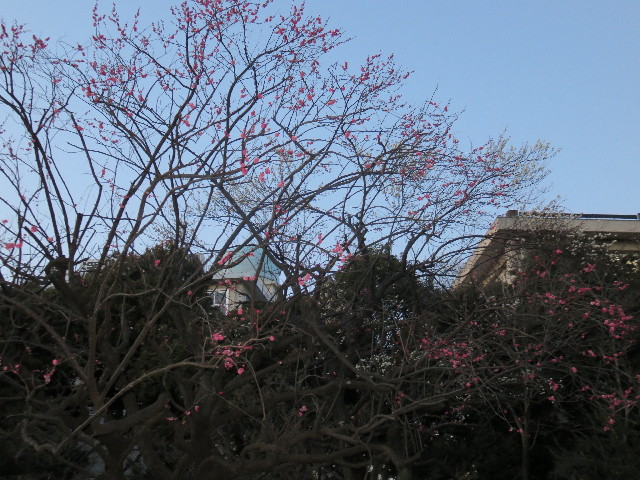 ファイル 4769-2.jpg