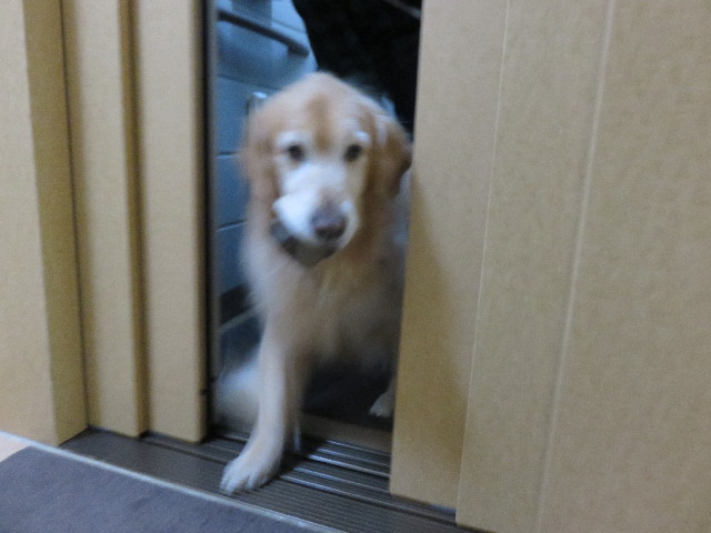 ファイル 4770-2.jpg