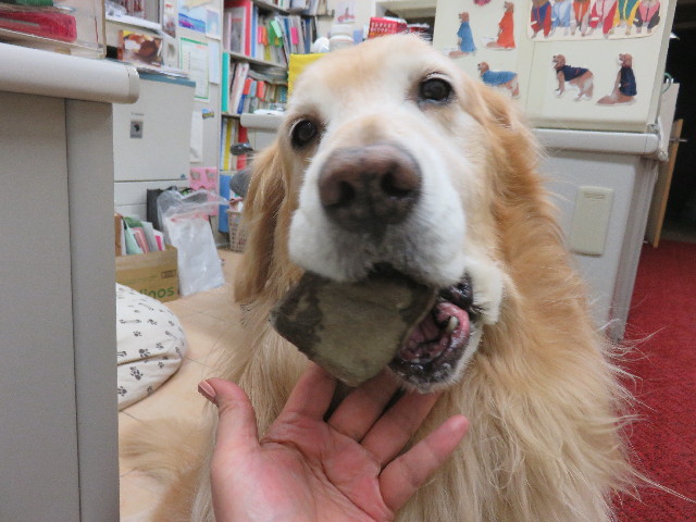 ファイル 4770-3.jpg