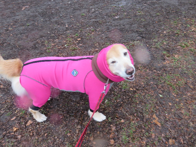 ファイル 4770-4.jpg