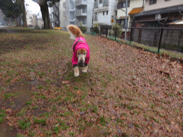 ファイル 4770-5.jpg