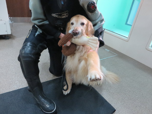 ファイル 4771-1.jpg