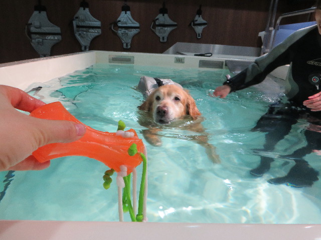 ファイル 4771-2.jpg