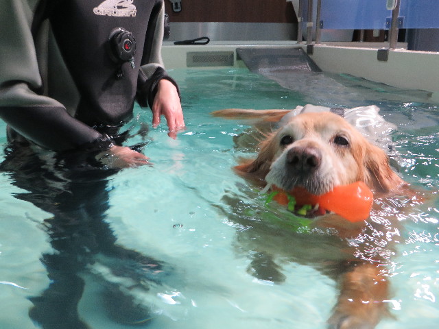 ファイル 4771-3.jpg