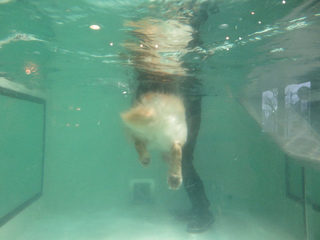 ファイル 4771-4.jpg